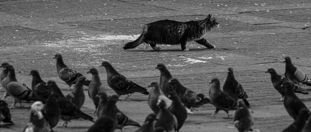 Photograph by Илья