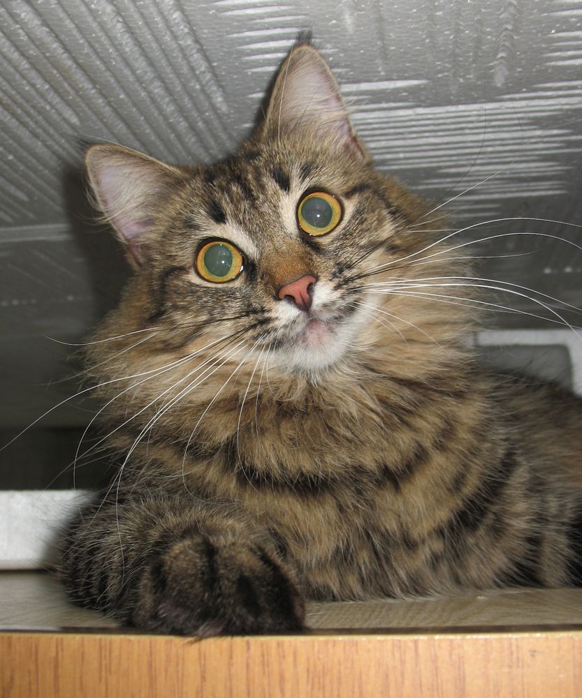 Photograph by Anton Hantov