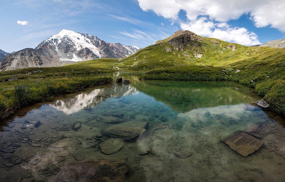 Одно из семи