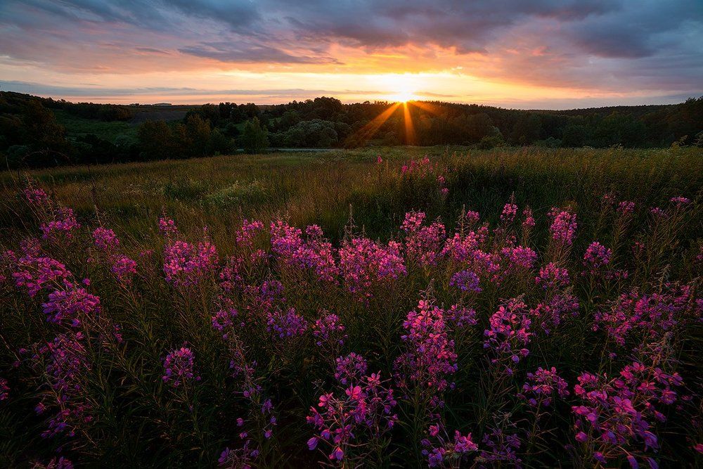 Летнее время