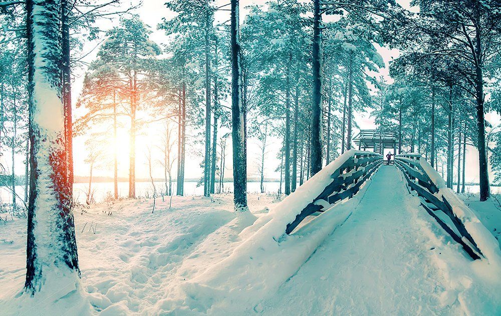 Вечерняя оттепель