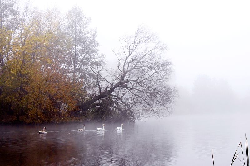 евгений, Belarus