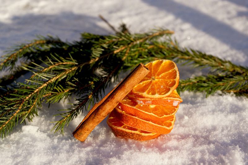 Данилова Тома, Russia