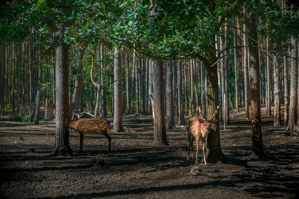 Photograph by Александр