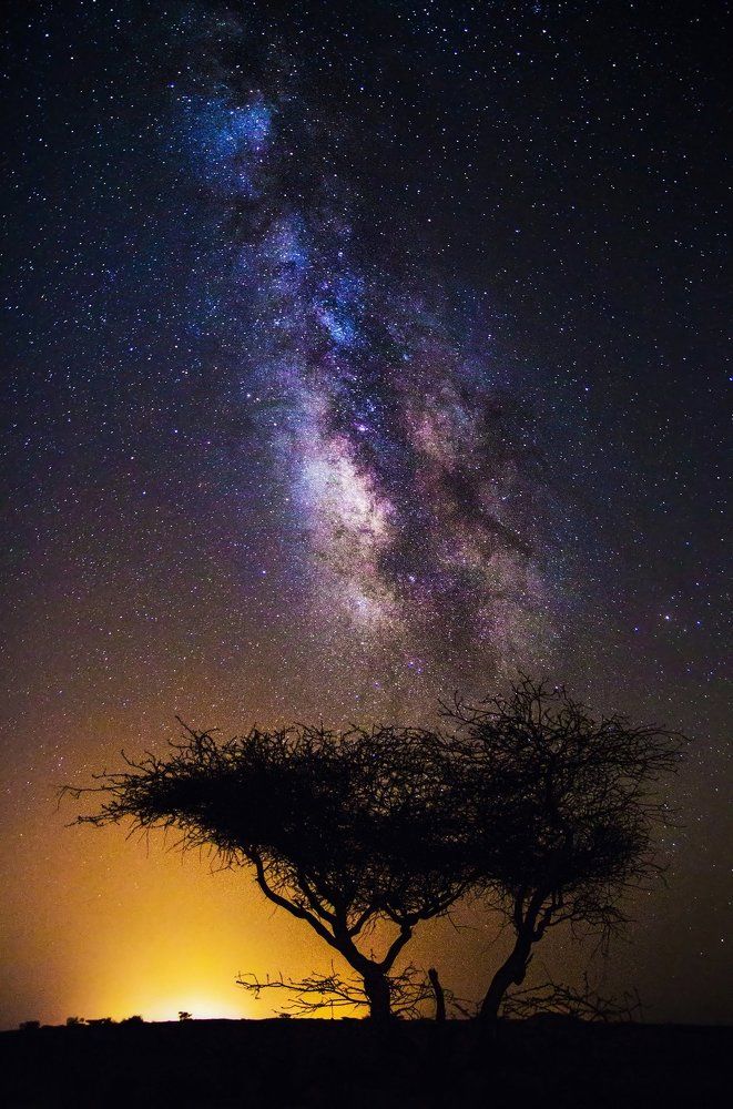 Diamonds of the Night