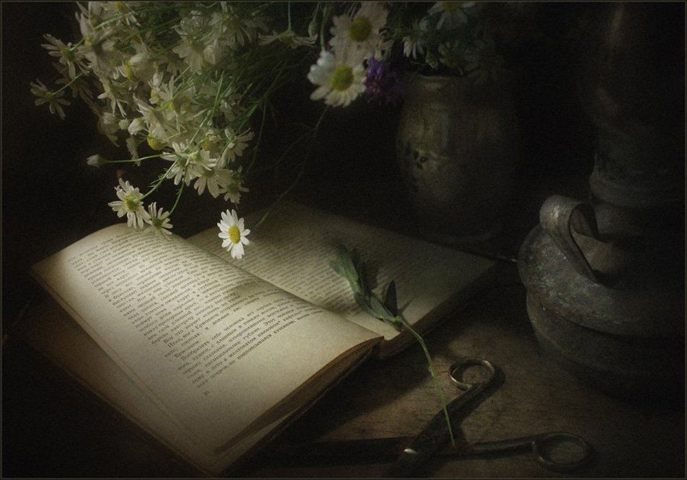 Непридуманная история..