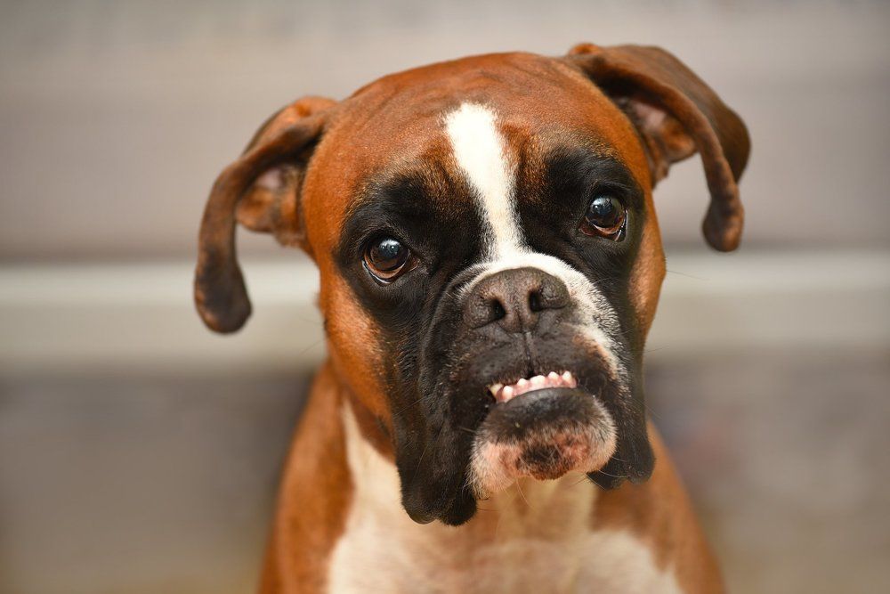 Photograph by Усольцева Лариса