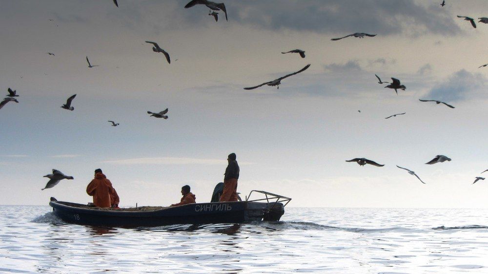 Рыбаки Черного моря