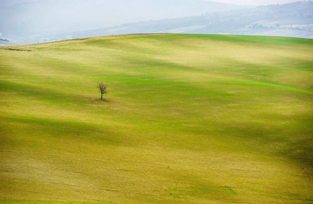 ОДИНОЧЕСТВО. Из серии "Toscana - amore mio"