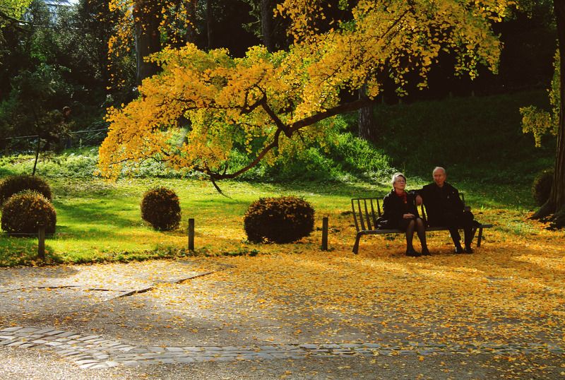 Agnese Bobrova, Latvia