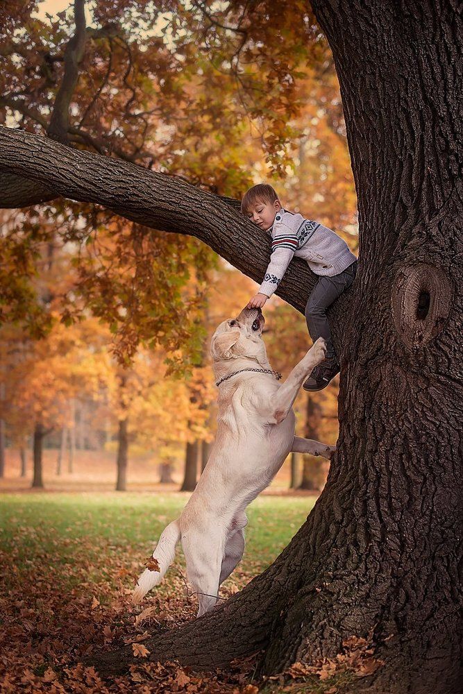 Photograph by Дина