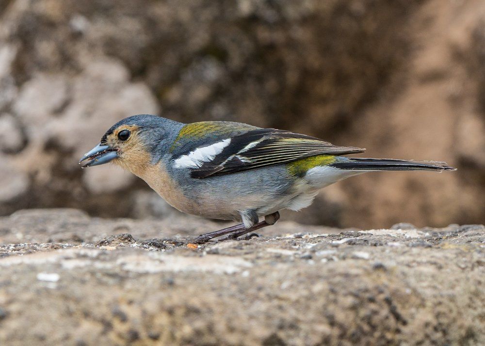 Обеденный перерыв