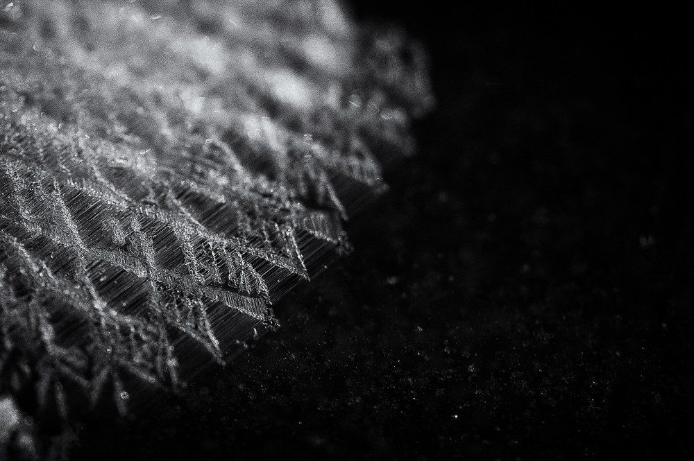 Кружева зимы