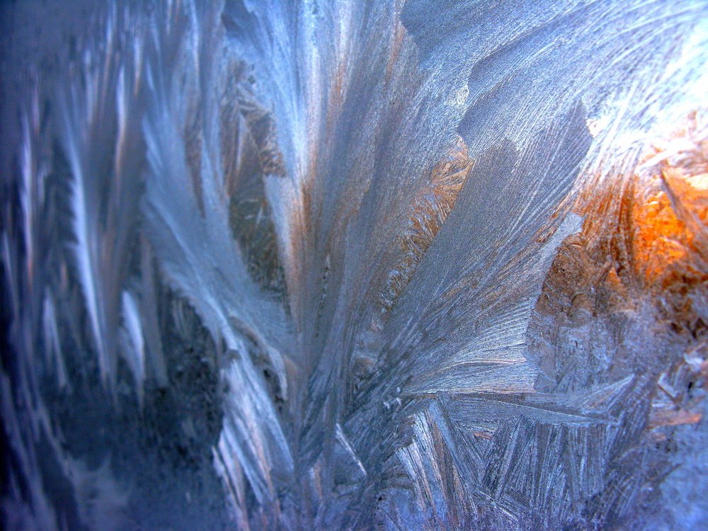 морозный лист