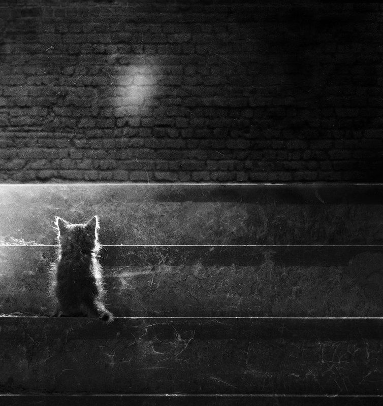 Mr.Insulation, Russia