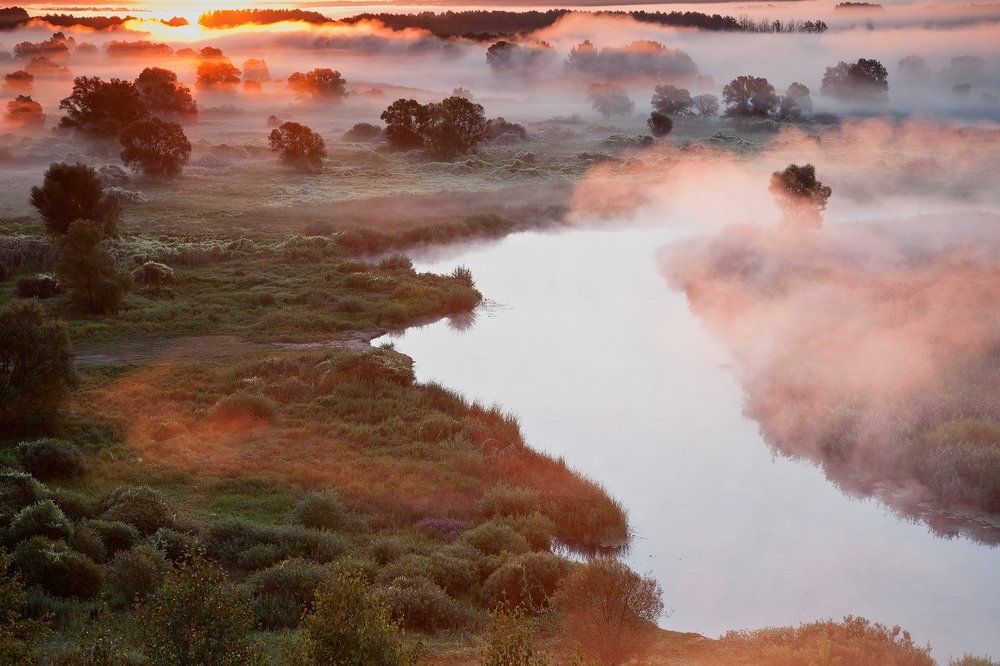 Летние рассветы.