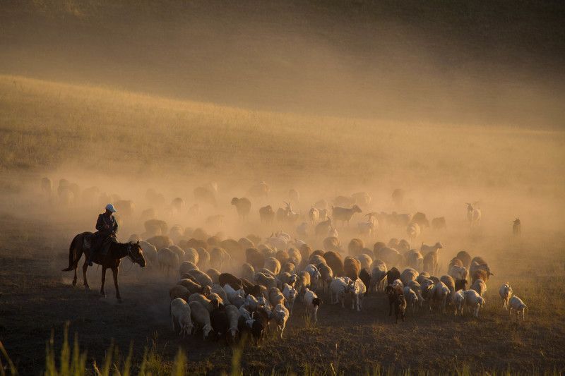Айжан Байбулова, Kazakhstan