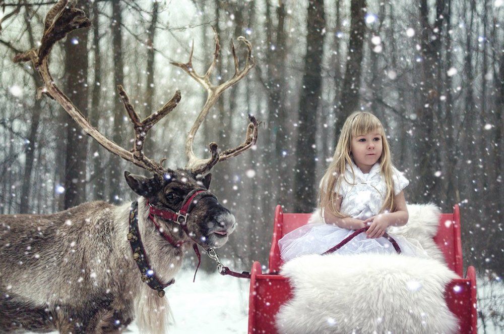 Photograph by Наталья