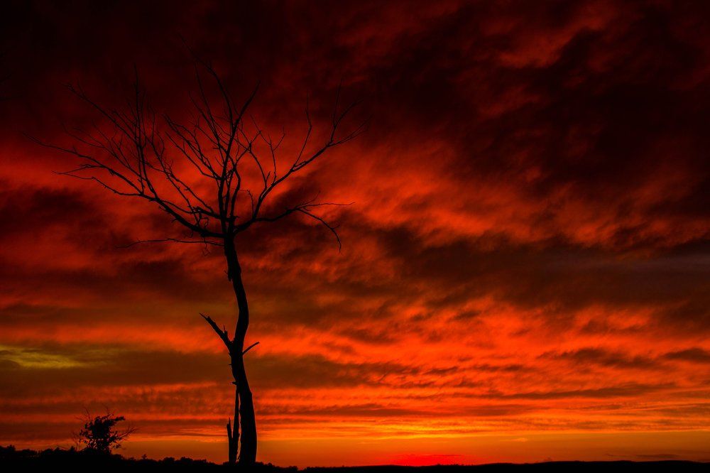 Багровые реки.