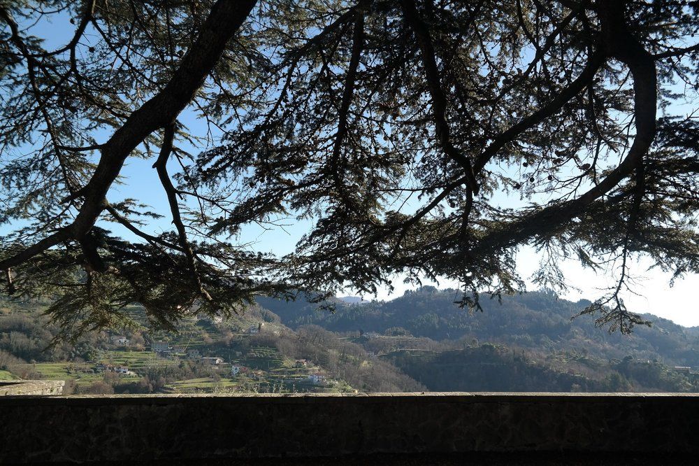 Photograph by Олеся