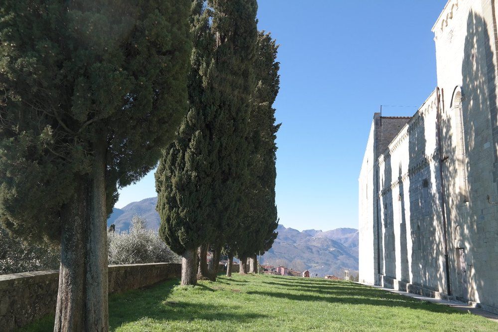 Photograph by Олеся