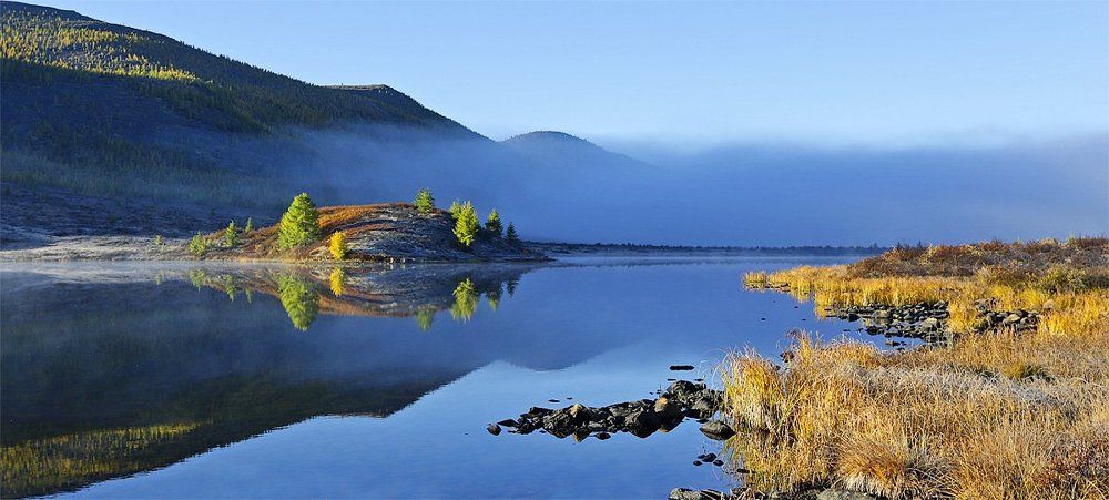 Синий туман