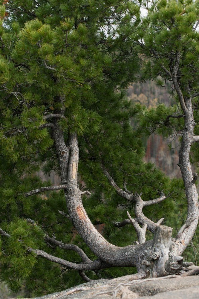 Photograph by Вероника Кочановская