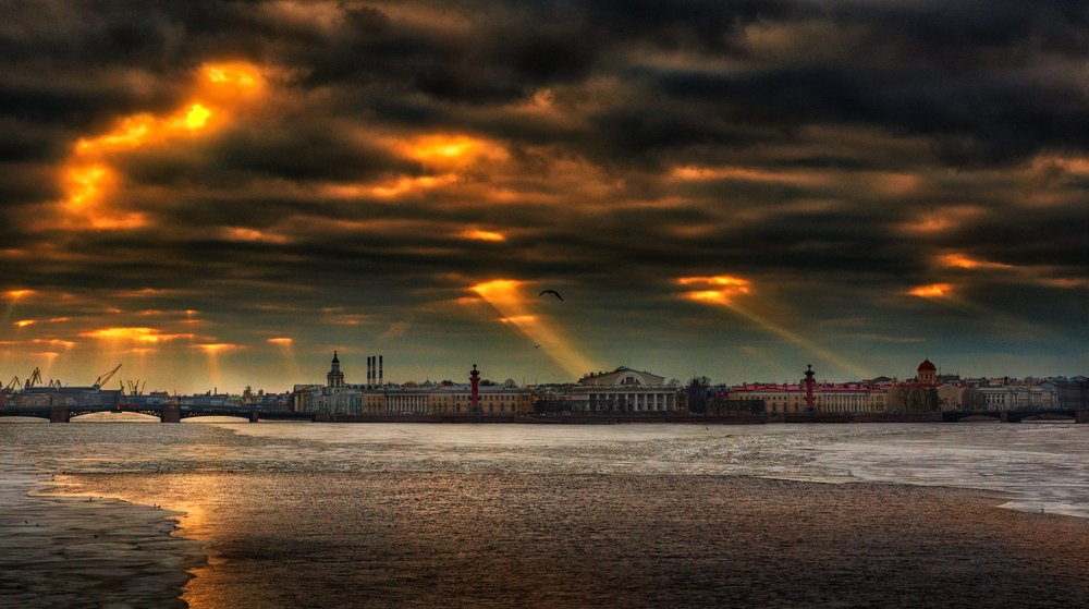 Стрелка ВО (СПб)