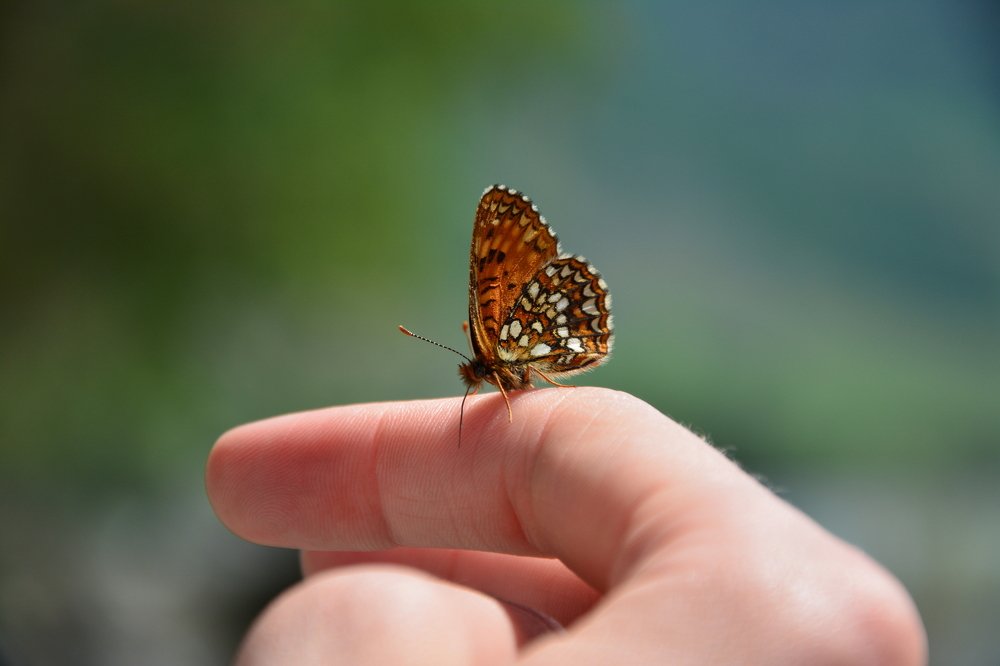 Перевалочный пункт...