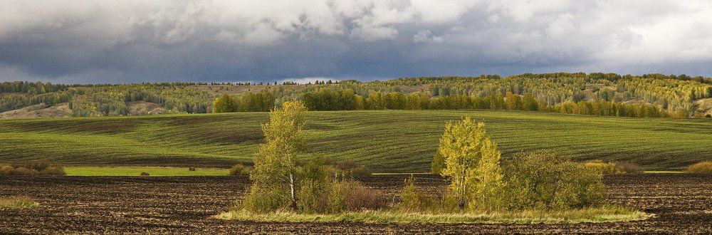 Родные просторы