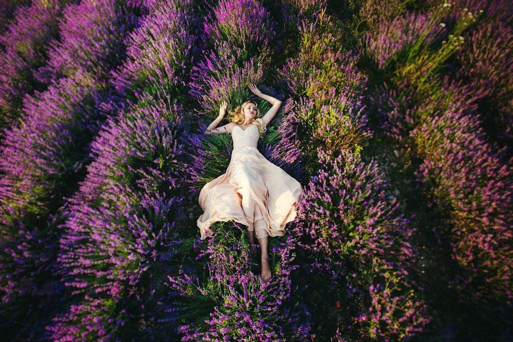 Lavender dreams