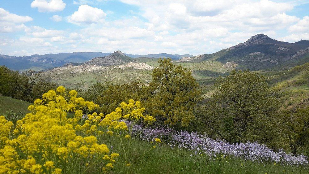 цветение гор