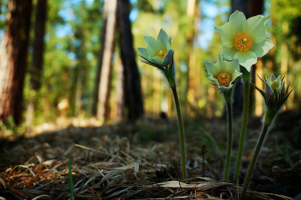 Photograph by Елена Дымова