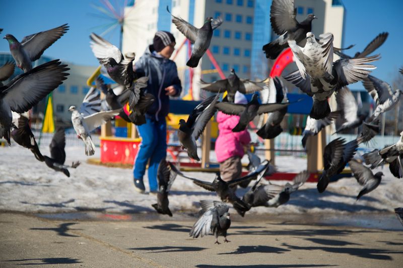 OksanaSalimova, Russia