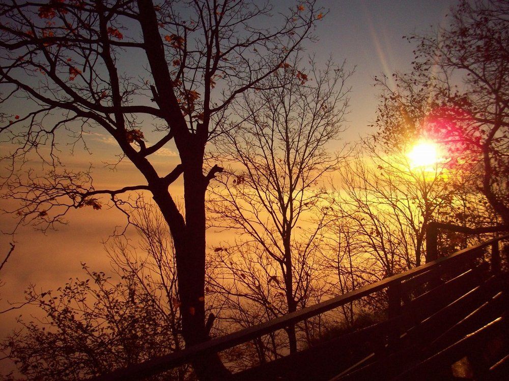 Туманное утро Белогорья #1