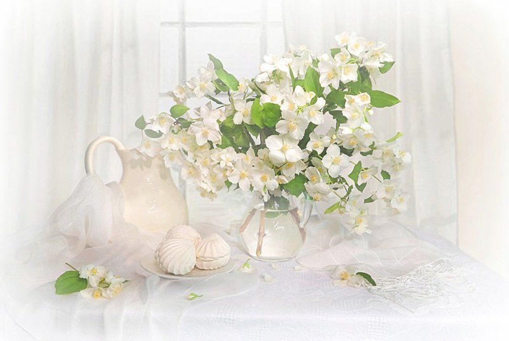 Зацвел жасмин