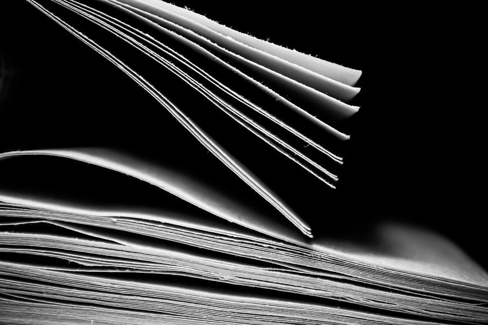 Photograph by Анна Камнева