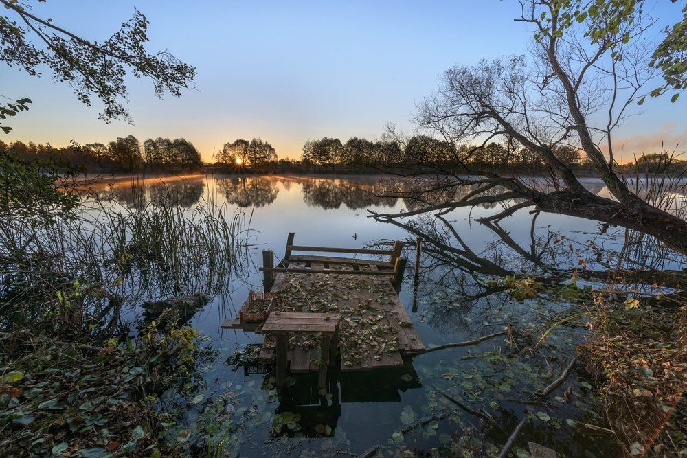 Холодное осеннее утро