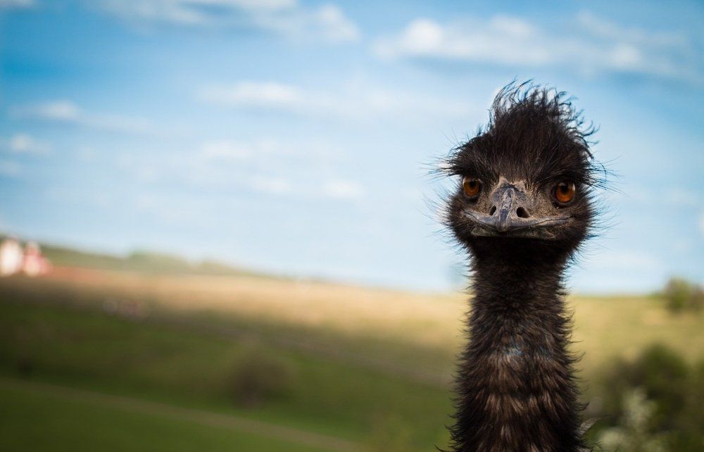 Photograph by Татьяна Таран