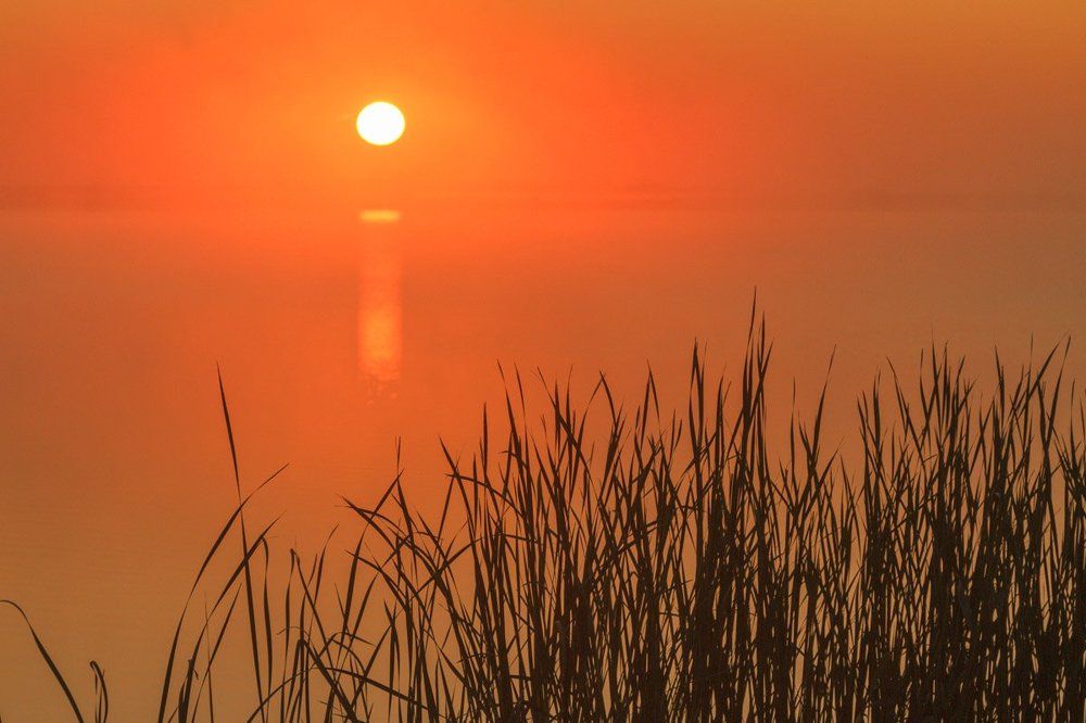 Рождение дня