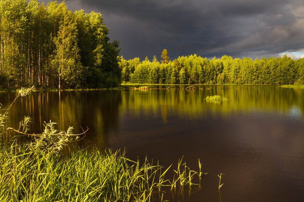 Перед грозой