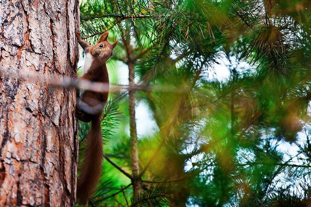 Чего отвлекаешь?