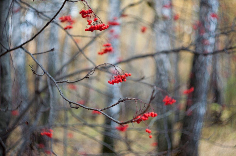 Photograph by Никита Татауров