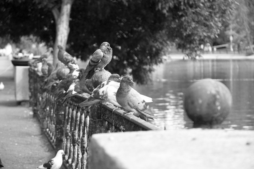 Photograph by Chacha