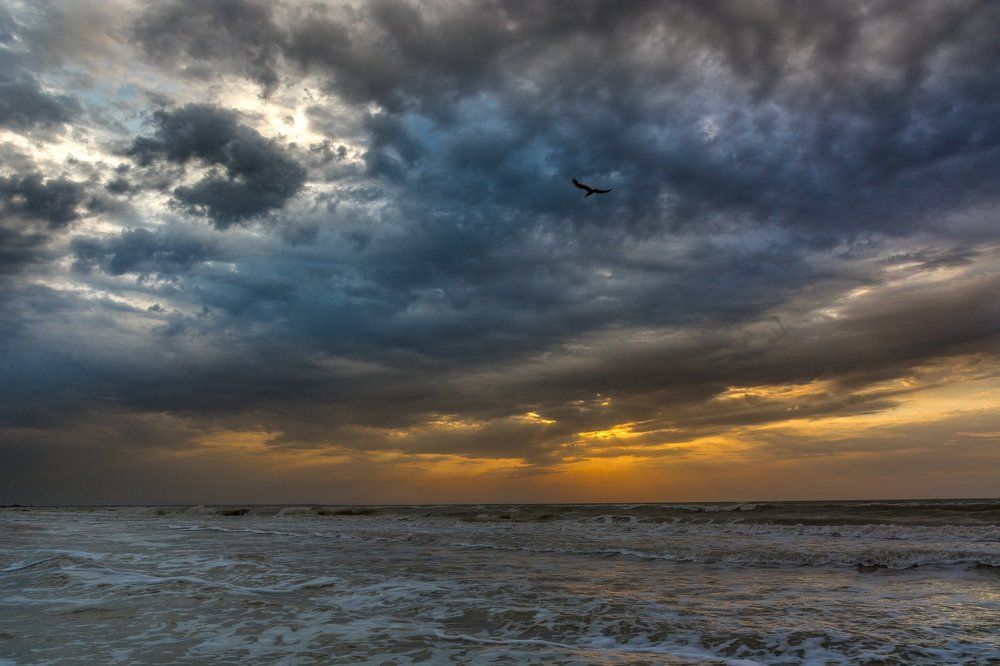 Photograph by Максименко Протоиерей-тарасий