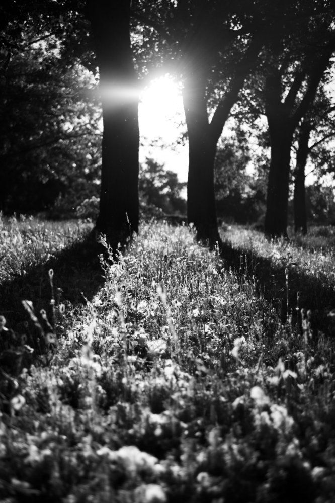 Photograph by Максименко Протоиерей-тарасий