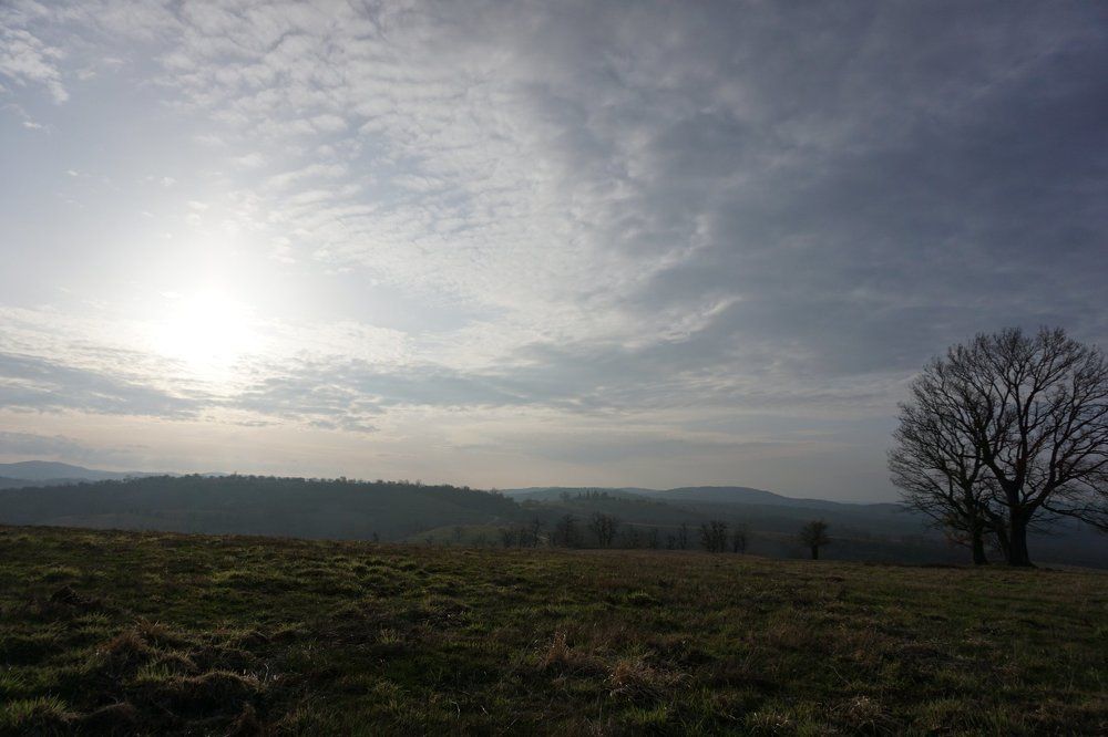 nebo