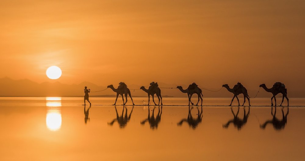 Караван на соленом озере
