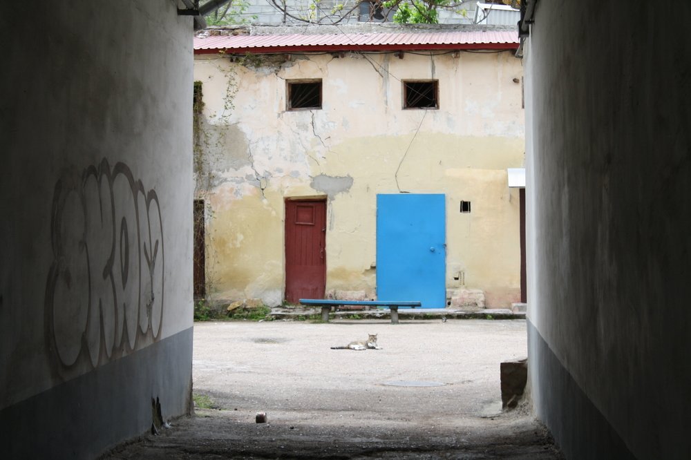 Хозяин двора