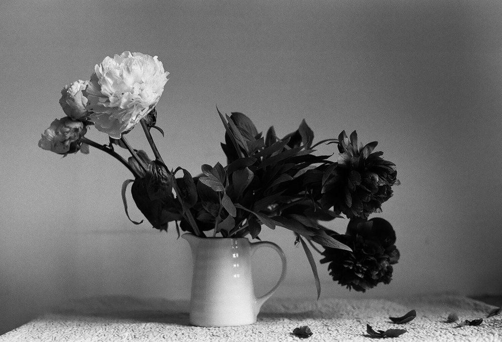 Photograph by Екатерина Чарина